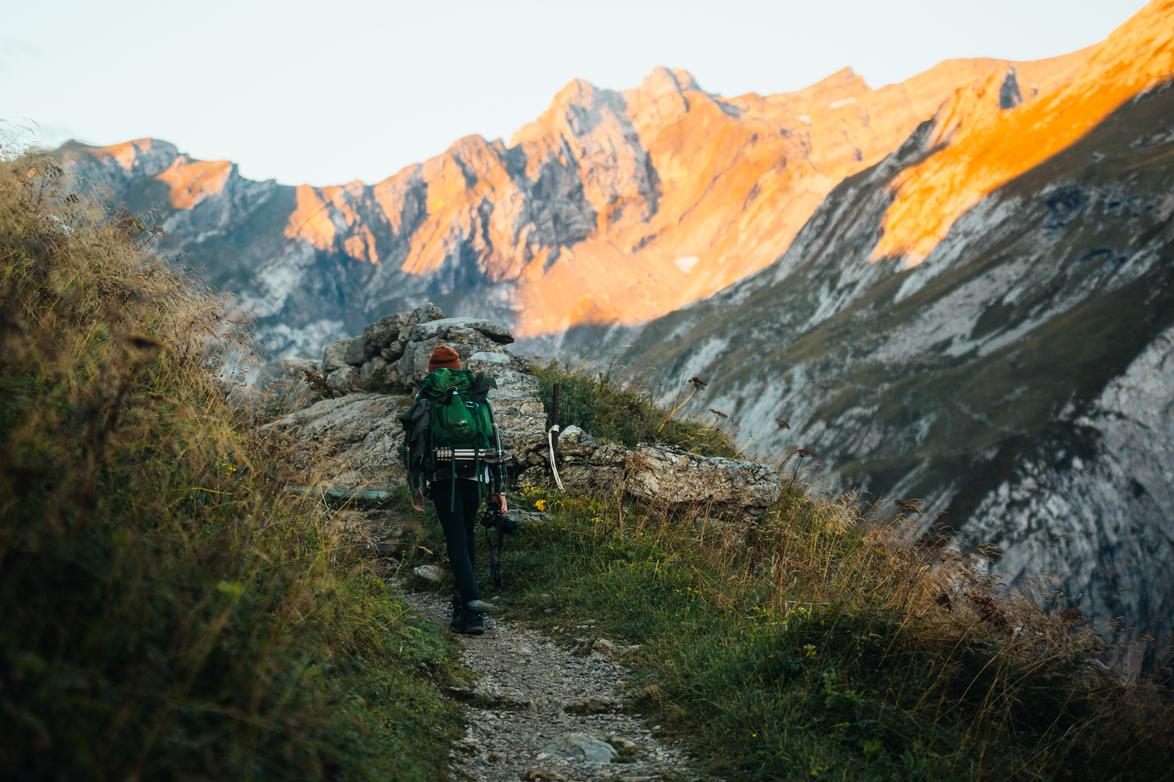 SpecSure Alpha 冲刺小结（Alpha 2/3）