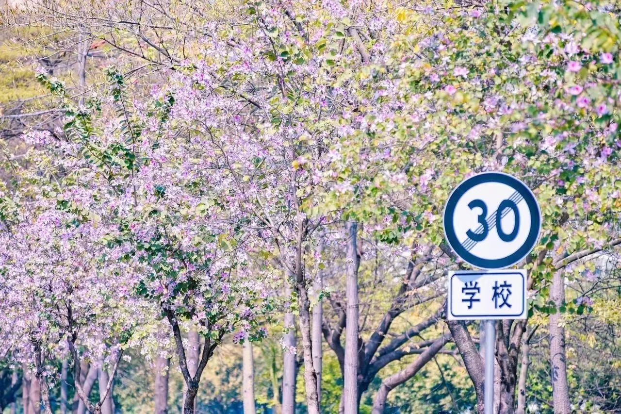 南国纪事