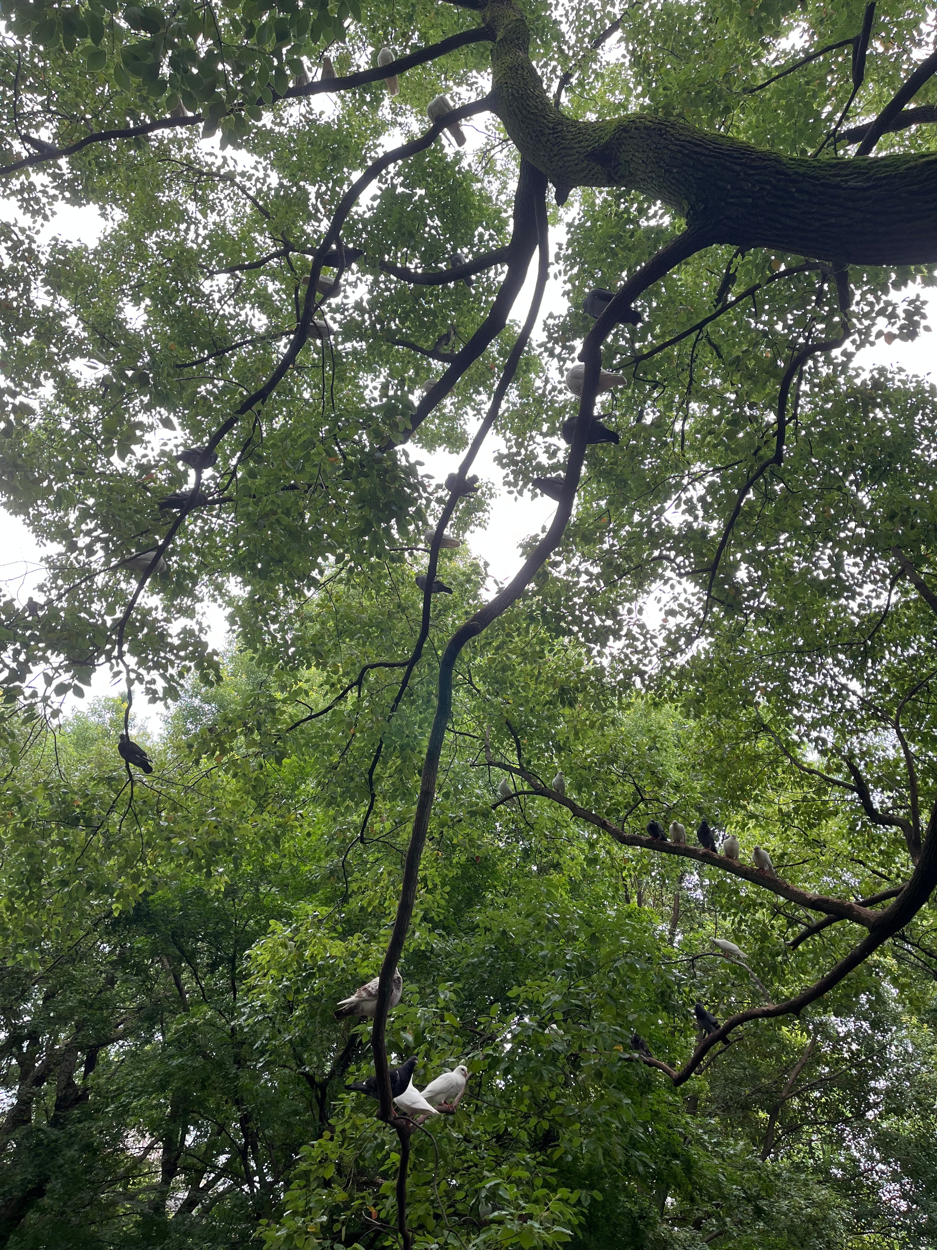 江南水