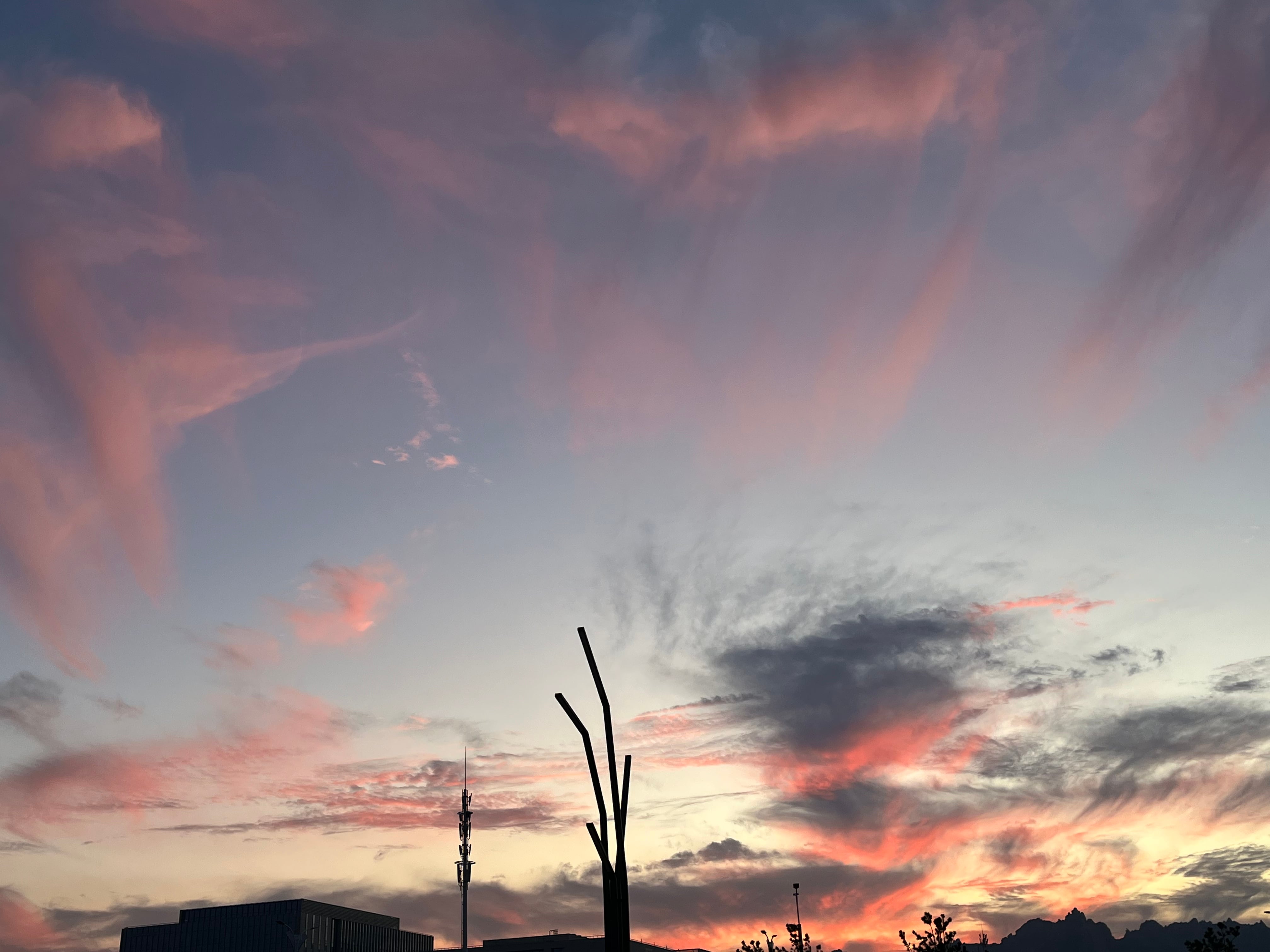 琴岛浮生