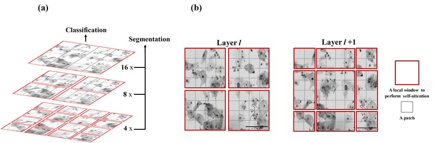 Shifted window attention示意